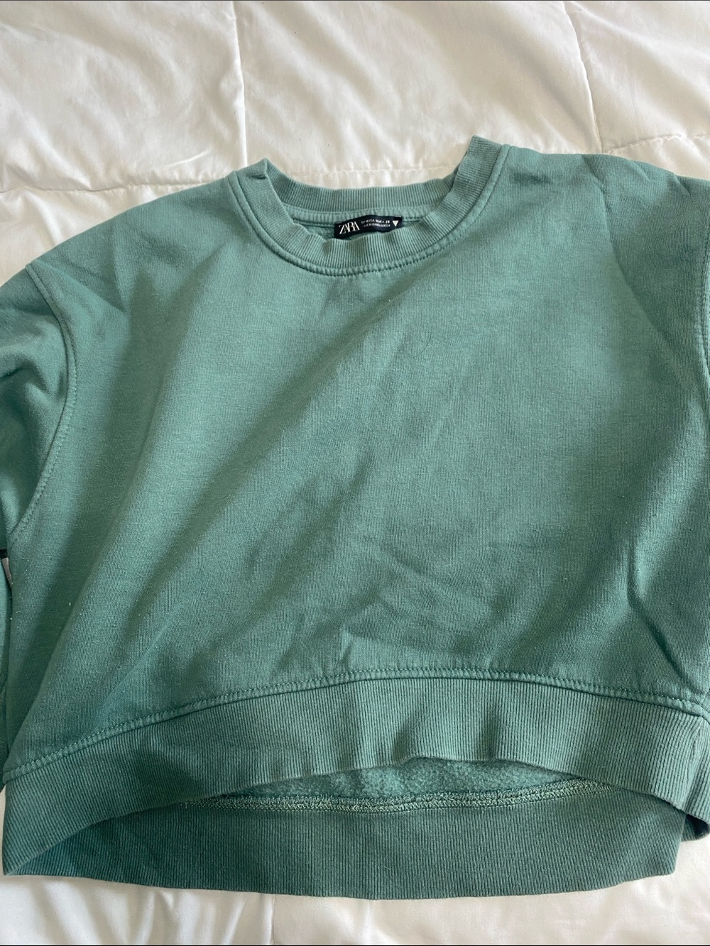 Zara Crewneck Cropped Sweater in Sage